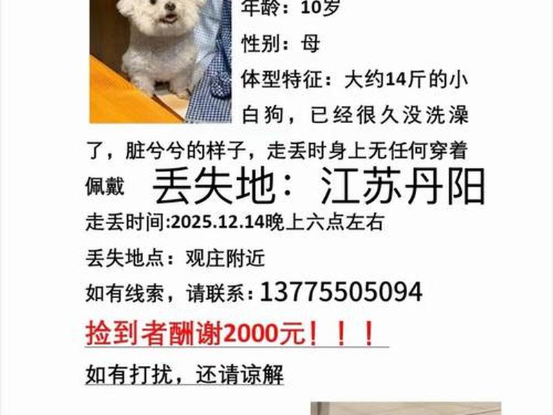 狗爹怎么解析二级域名；狗爹买的域名怎么解析