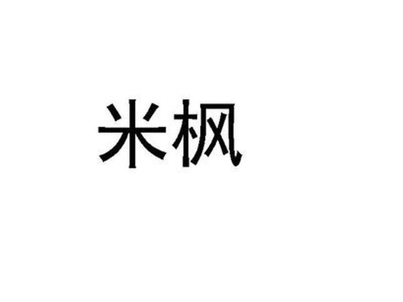 广州米枫网络科技有限公司、广州米枫网络科技有限公司怎么样 广州米枫网络科技有限公司、广州米枫网络科技有限公司怎么样