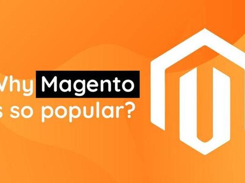 magento高级建站技巧 magento电商建站 magento高级建站技巧 magento电商建站