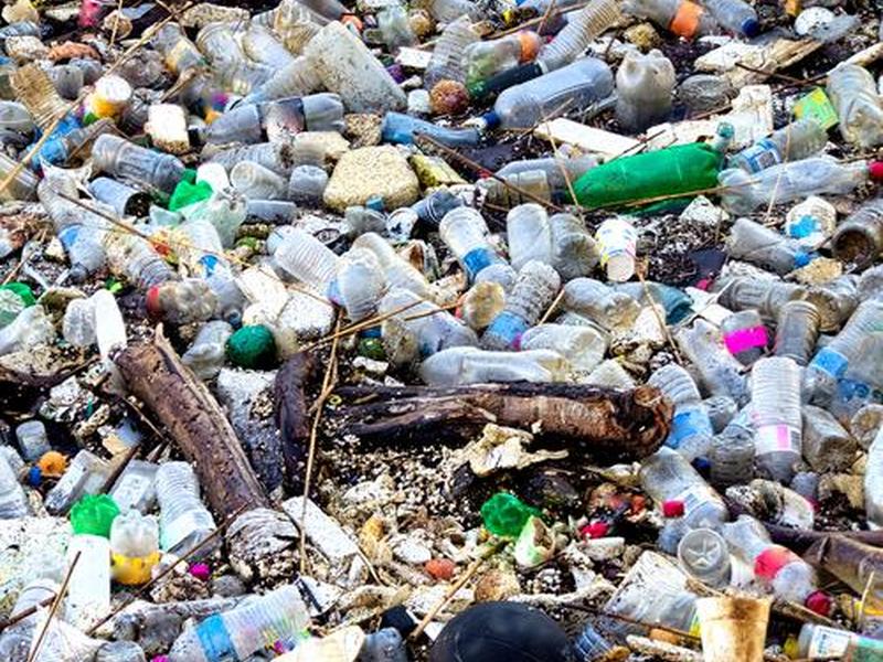poll,pollution可数吗 poll,pollution可数吗