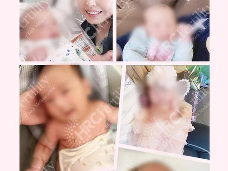 dede试管成功案例;试管成功案例经验分享 dede试管成功案例;试管成功案例经验分享
