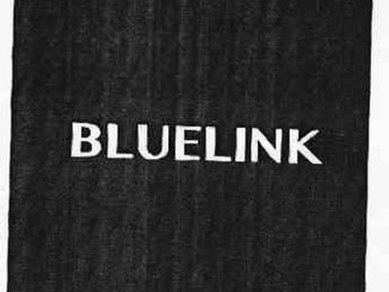 bluelink怎么开通服务 - blue link怎么开通 bluelink怎么开通服务 - blue link怎么开通