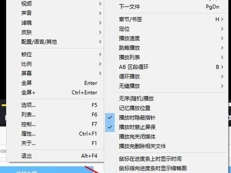 potplayer怎么加载sup（potplayer怎么加载配置）