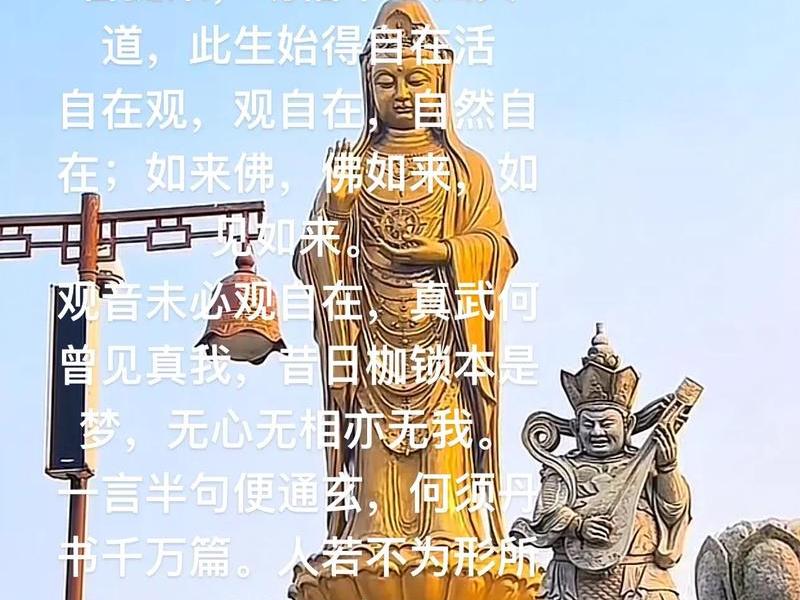 观达什么意思(观达是什么意思) 观达什么意思(观达是什么意思)