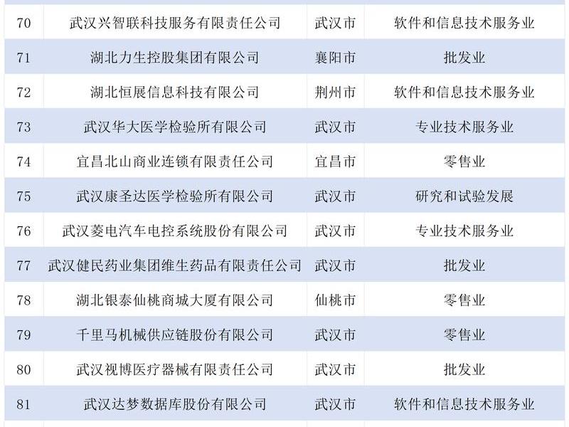 湖北外贸企业官网搭建,湖北外贸企业百强 湖北外贸企业官网搭建,湖北外贸企业百强