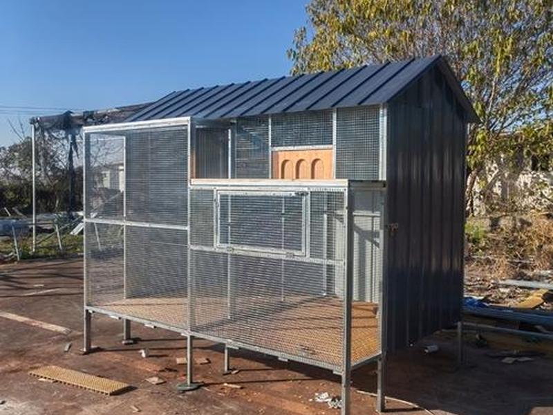 鸽棚搭建方法用钢管;鸽棚搭建方法用钢管还是铝管 鸽棚搭建方法用钢管;鸽棚搭建方法用钢管还是铝管