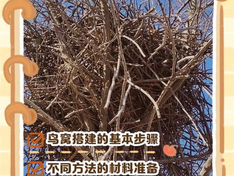 刺猬窝搭建教程,刺猬搭窝的过程 刺猬窝搭建教程,刺猬搭窝的过程
