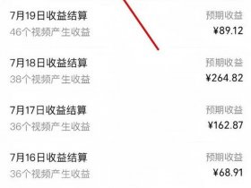 个人视频网站如何盈利（视频网站盈利了吗）