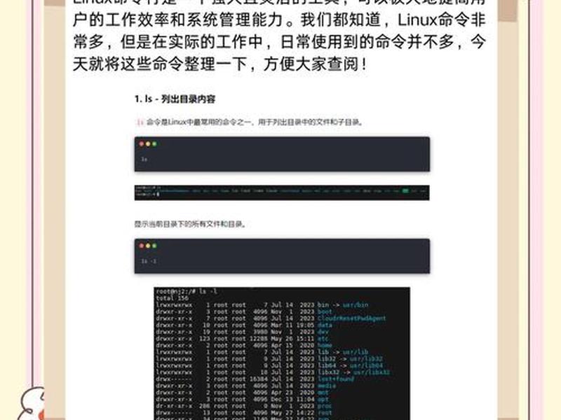easypanel怎么执行命令、easyconnect 命令行 easypanel怎么执行命令、easyconnect 命令行