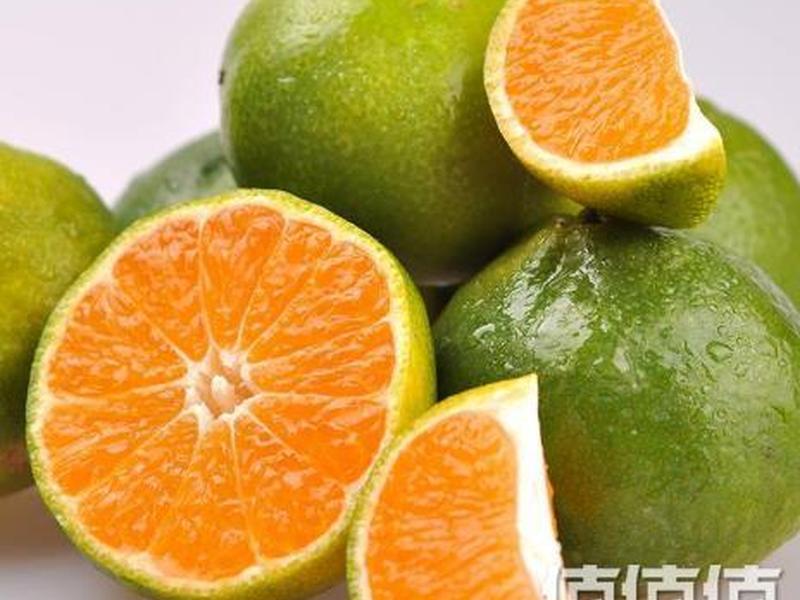 橘子注册网址,橘子注册网址是多少 橘子注册网址,橘子注册网址是多少