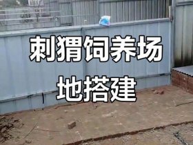 刺猬养殖搭建方法，刺猬养殖搭建方法有哪些
