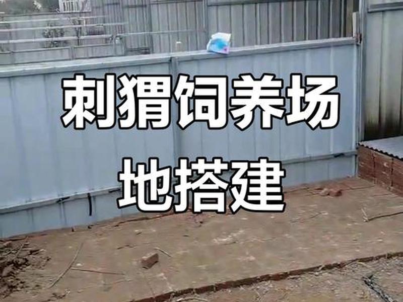 刺猬养殖搭建方法,刺猬养殖搭建方法有哪些 刺猬养殖搭建方法,刺猬养殖搭建方法有哪些