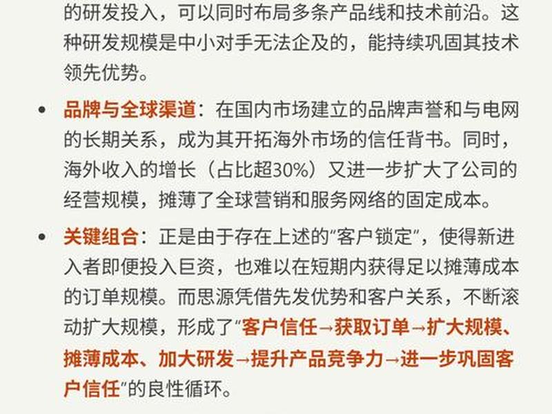 独立站公司的利弊 独立站做得好的公司 独立站公司的利弊 独立站做得好的公司