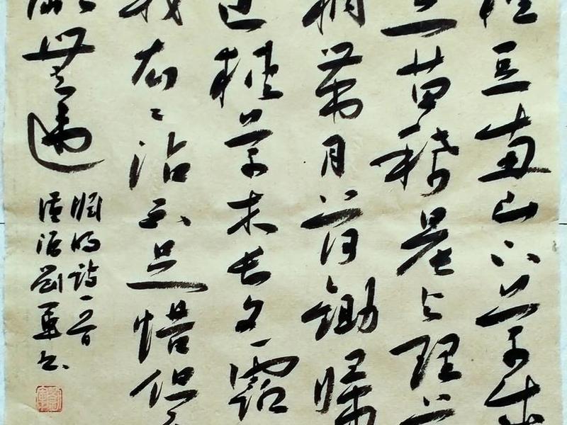得得最新改名 得得改名在线视频
