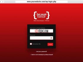 wordpress建站设置登录界面 - wordpress修改登录界面