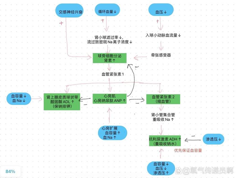 Astra主题使用教程 - astra主题使用教程 Astra主题使用教程 - astra主题使用教程