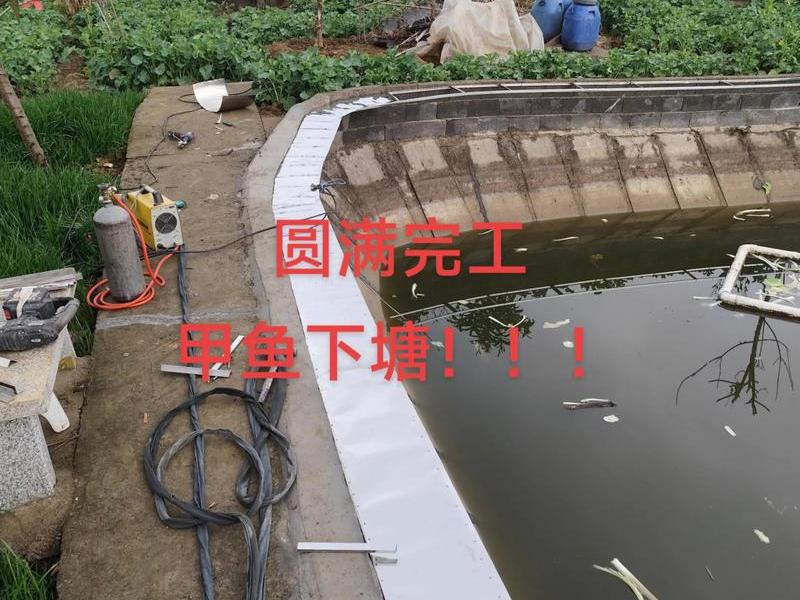 池塘搭建 - 池塘修建方法 池塘搭建 - 池塘修建方法