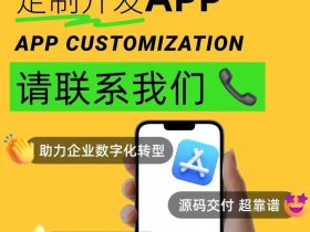 北京模板软件开发（北京模板软件开发公司）