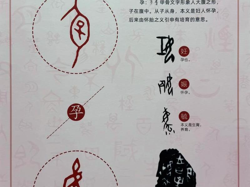 甲骨文建站独立站(甲骨文站名) 甲骨文建站独立站(甲骨文站名)