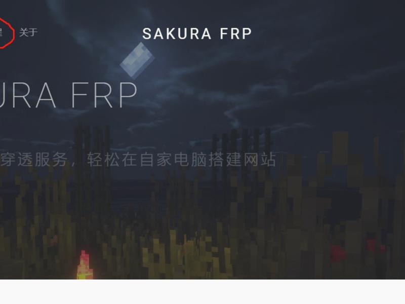 sakurafrp启动器下载；sakurafrp启动器下载不了