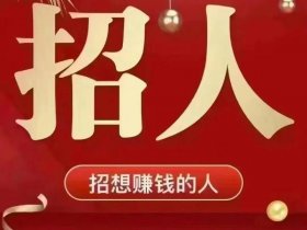 佛山独立站优化团队（佛山独立站优化团队招聘）
