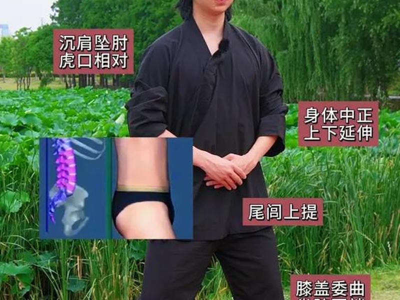 从基础站桩（基础站桩视频）