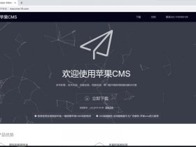 maccms支付插件；码支付插件swapidc
