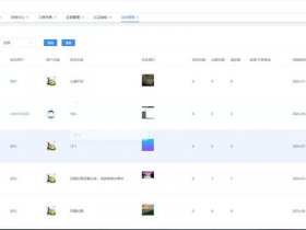 zapier是什么软件（parler是什么软件）