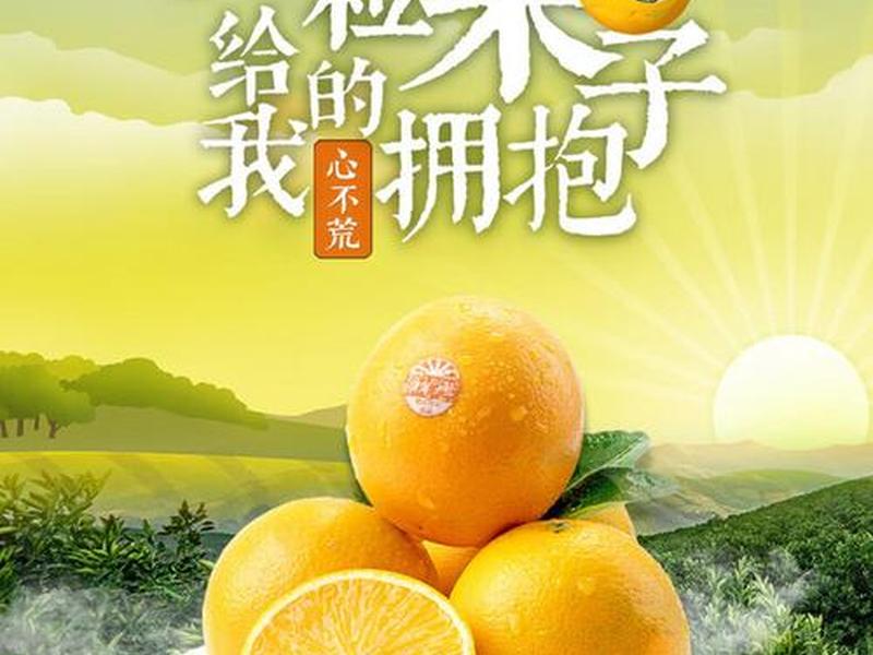 2026橙子建站规范 - 橙子建站广告 2026橙子建站规范 - 橙子建站广告