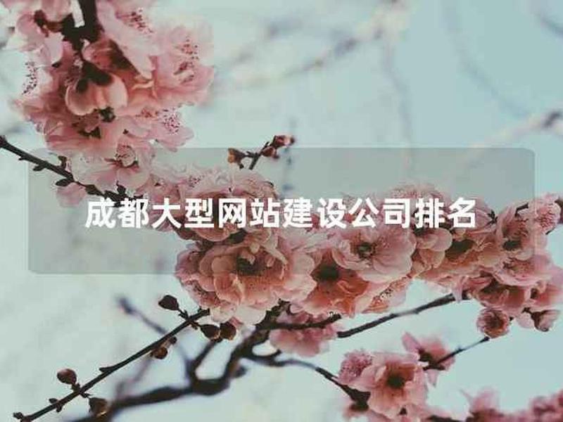 成都专注企业网站建设(成都专注企业网站建设有限公司) 成都专注企业网站建设(成都专注企业网站建设有限公司)