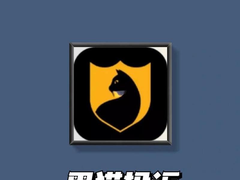 黑豹app是干嘛的、黑豹app是干嘛的软件 黑豹app是干嘛的、黑豹app是干嘛的软件