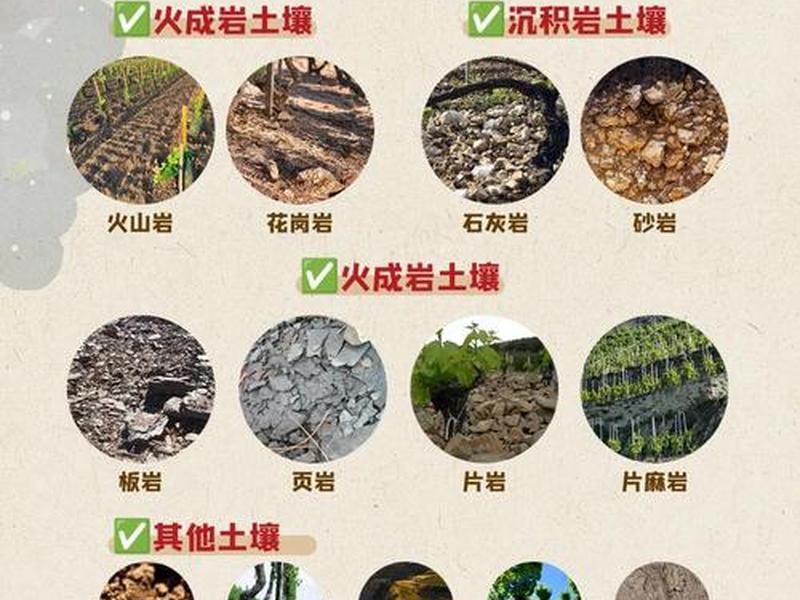 建站的土地属性有哪些 - 建站的土地属性有哪些种类 建站的土地属性有哪些 - 建站的土地属性有哪些种类