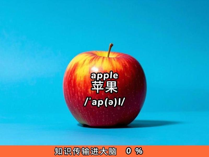 pineapple怎么读 pineapple怎么读(标准) pineapple怎么读 pineapple怎么读(标准)