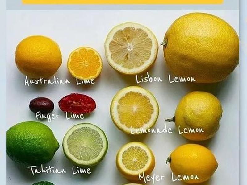 pineapple是什么意思 - lemonpineapple是什么意思 pineapple是什么意思 - lemonpineapple是什么意思