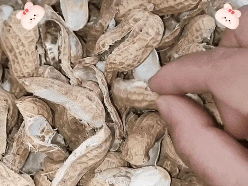 花生壳动态端口多久更新一次,花生壳动态端口多久更新一次啊 花生壳动态端口多久更新一次,花生壳动态端口多久更新一次啊