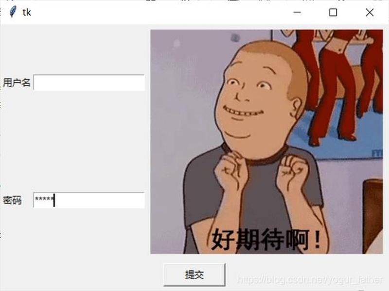 tk.entry() tk.entry()