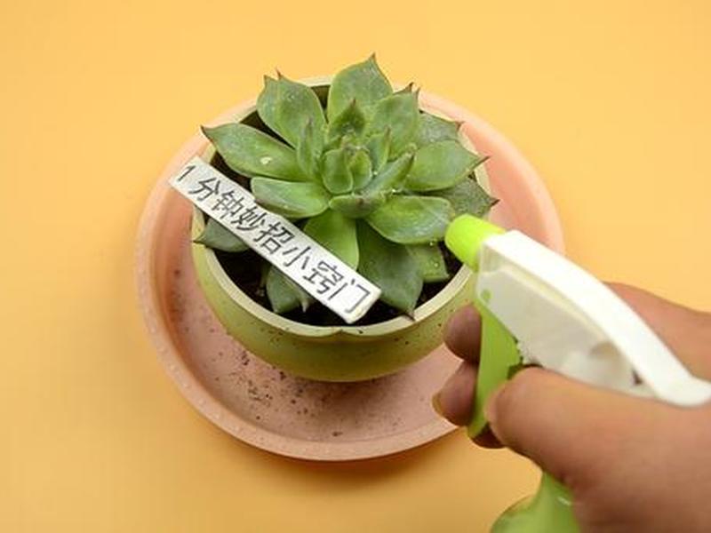 花生壳售后服务电话、花生壳售后服务电话是多少