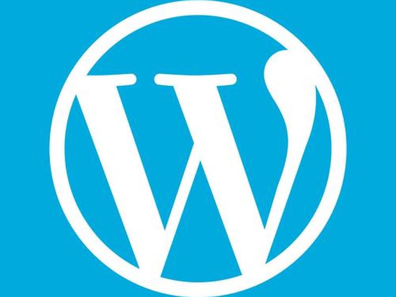 wp百科网(wpe百科) wp百科网(wpe百科)