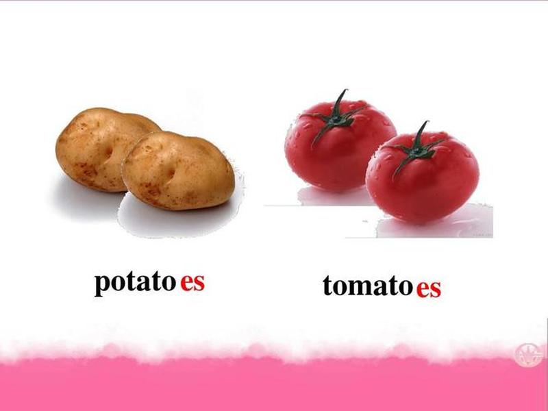 tomato的复数 - potato和tomato的复数 tomato的复数 - potato和tomato的复数