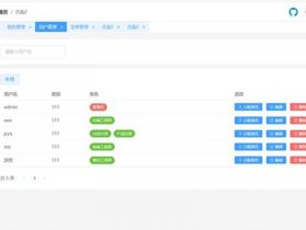 vue建站 vue建站模版seo