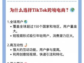 tiktok怎么做 - tiktok怎么做电商