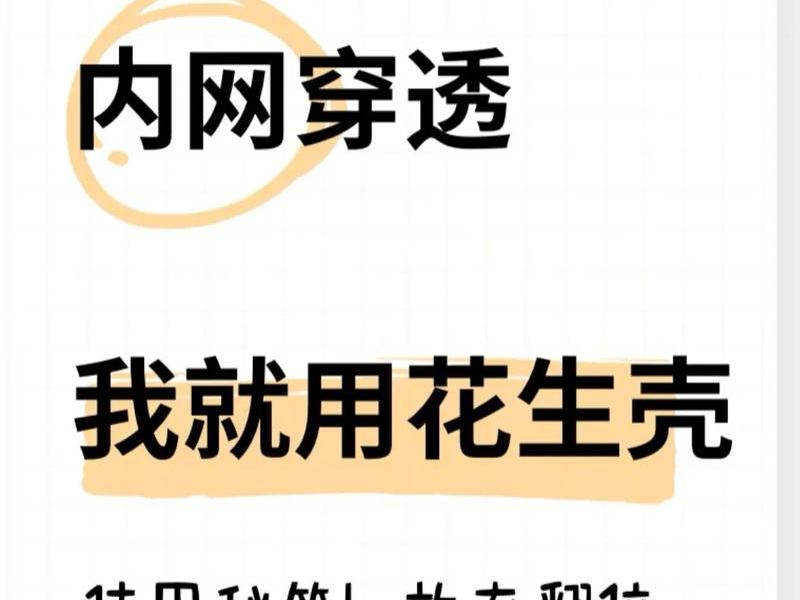 花生壳动态域名(支持内网穿透)新手上路；花生壳动态域名用户名是什么