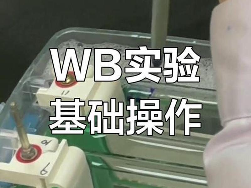 wb操作视频 - wb操作过程
