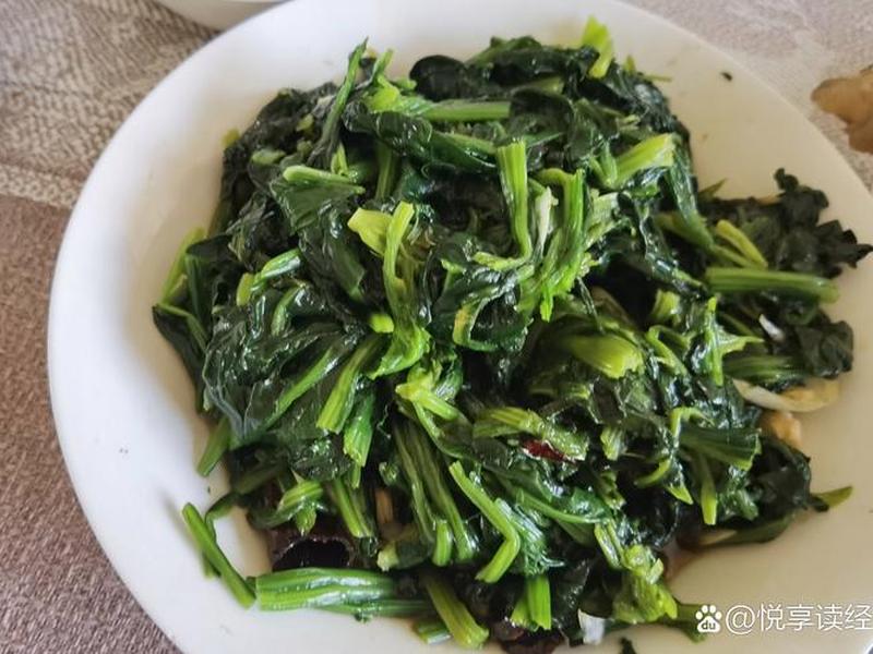 波菜 波菜