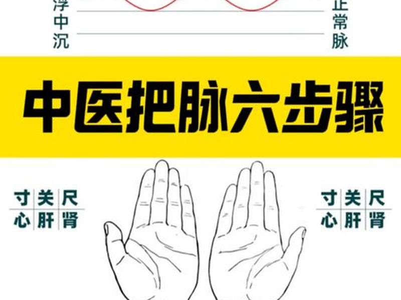 聚脉 聚脉