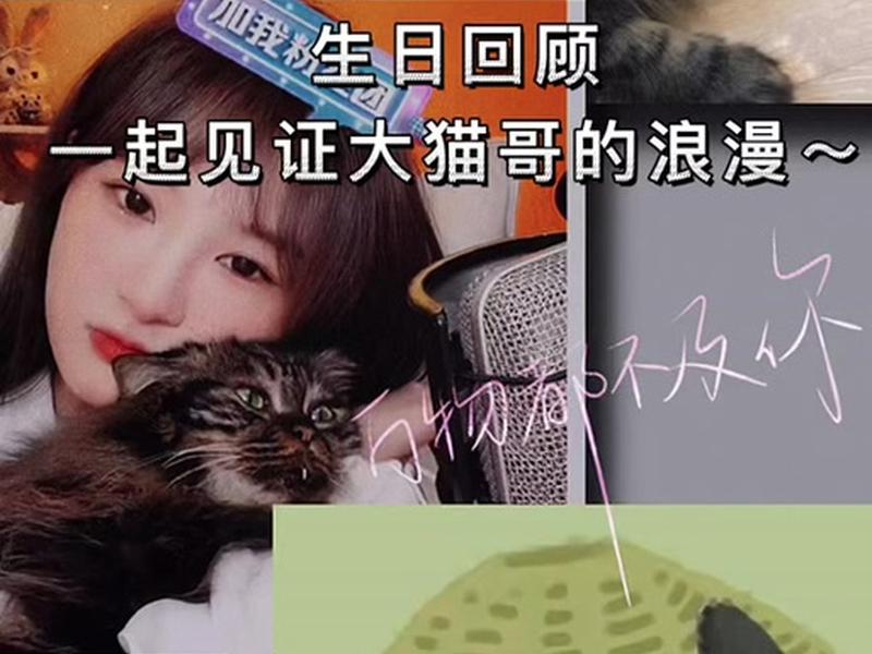 大猫哥账号定位 - 大猫哥账号定位怎么改 大猫哥账号定位 - 大猫哥账号定位怎么改