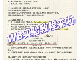 wb如何运营推广、wb运营推广方法