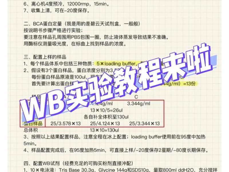 wb如何运营推广、wb运营推广方法 wb如何运营推广、wb运营推广方法