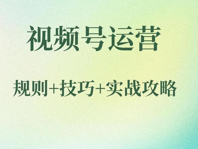 seo基础教程视频；seo基础教程视频在线观看