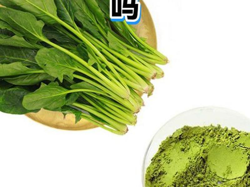 菠菜搭拱棚方法、冬季小拱棚菠菜产量 菠菜搭拱棚方法、冬季小拱棚菠菜产量